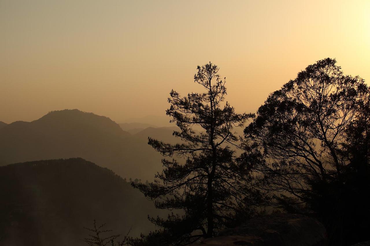 The Naldehra Hotell Shimla Exteriör bild
